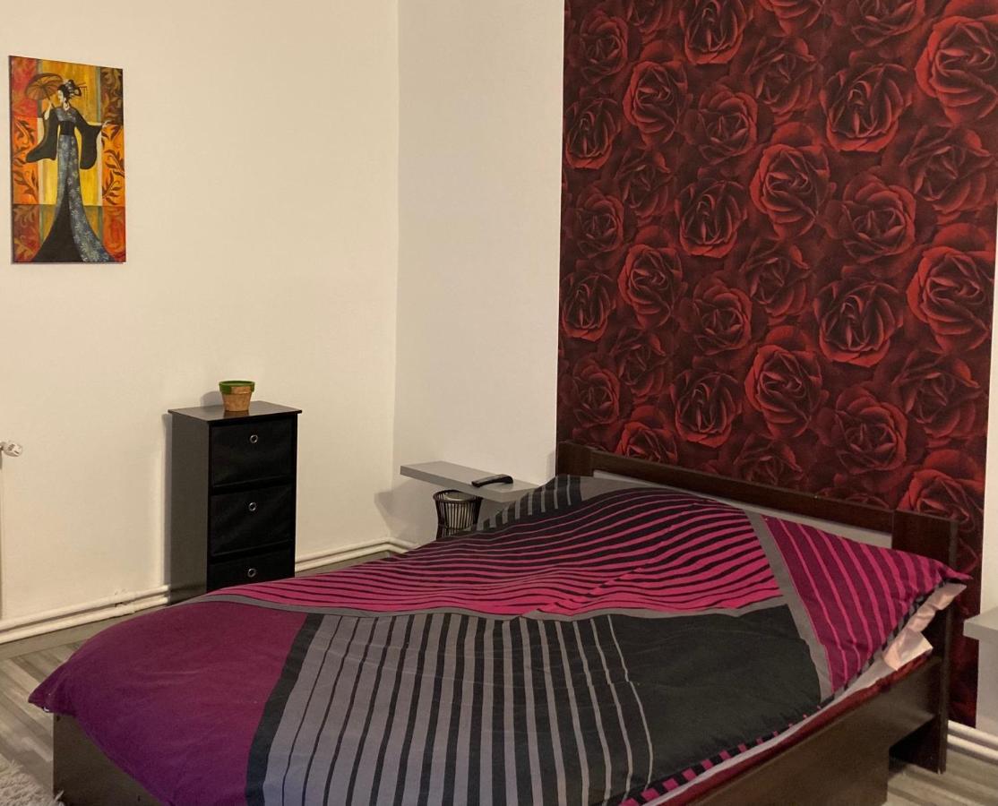 Edit House Apartment Тыргу-Муреш Экстерьер фото