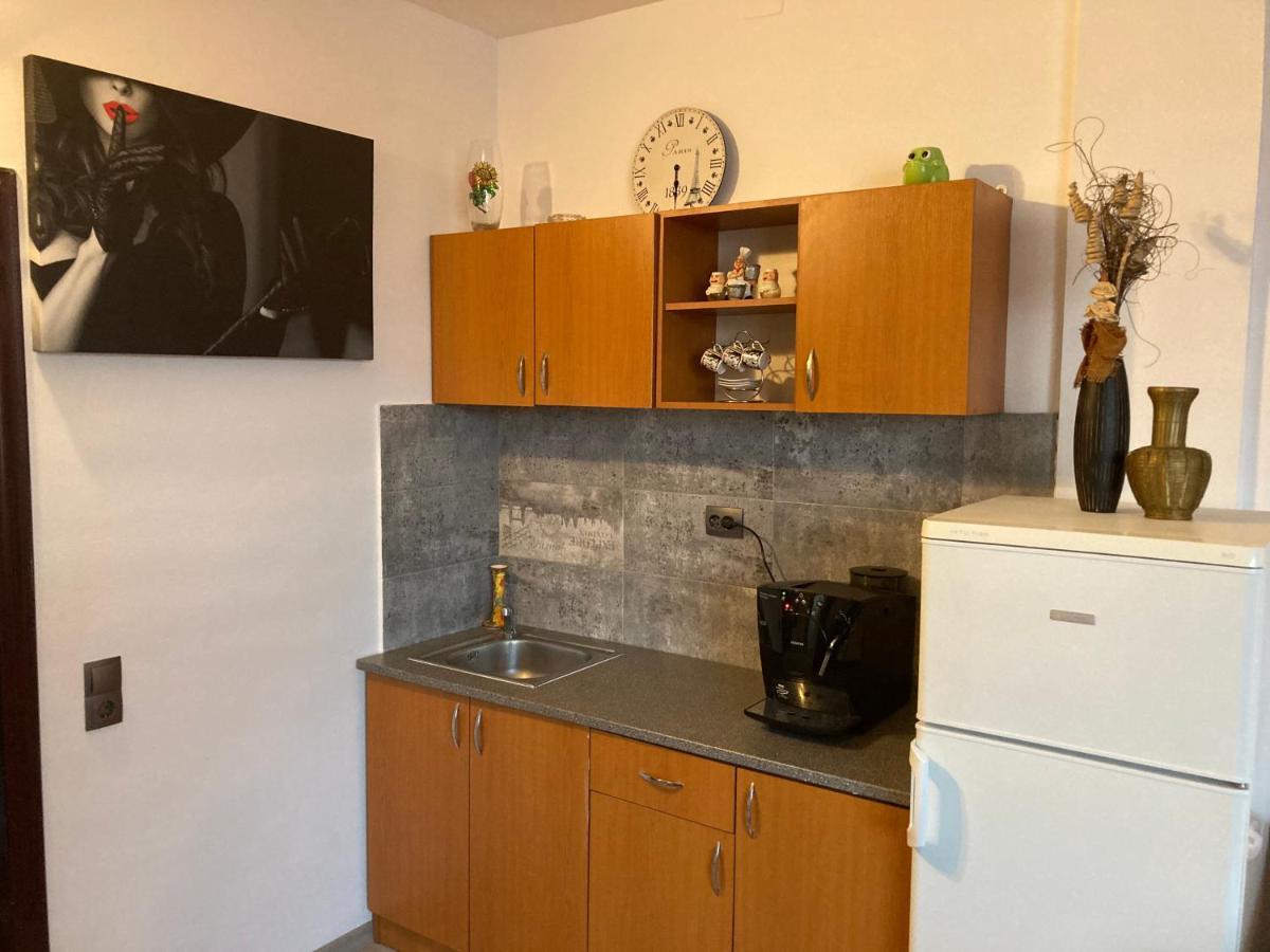 Edit House Apartment Тыргу-Муреш Экстерьер фото